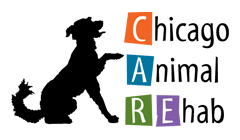 Chicago Animal Rehab